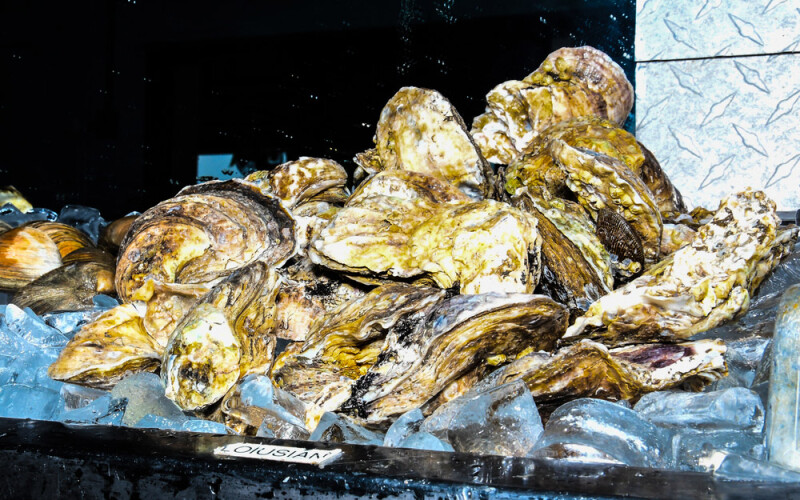 louisiana oysters