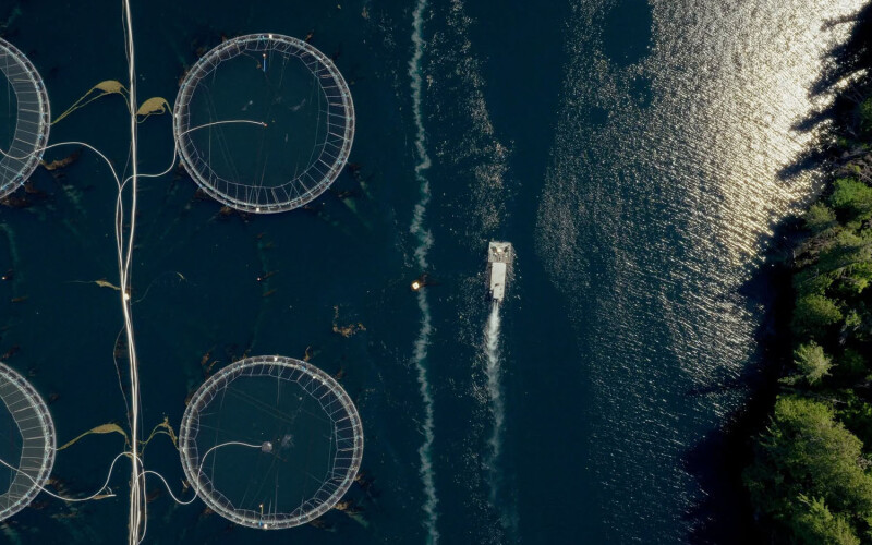 An aerial view of a salmon farm in British Columbia