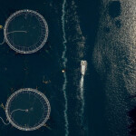 An aerial view of a salmon farm in British Columbia