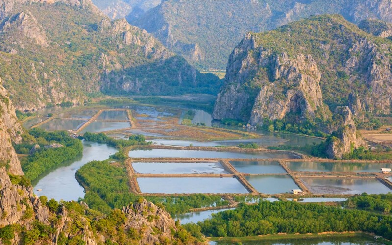 A shrimp farm in Thailand