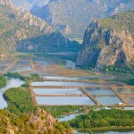 A shrimp farm in Thailand