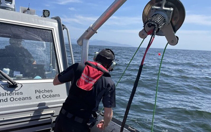 DFO investigating gear