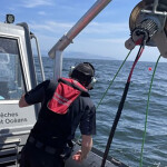 DFO investigating gear