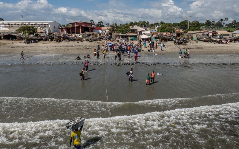 Workers carry crates of fish to shore in Gunjur, Gambia, in 2019