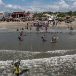 Workers carry crates of fish to shore in Gunjur, Gambia, in 2019
