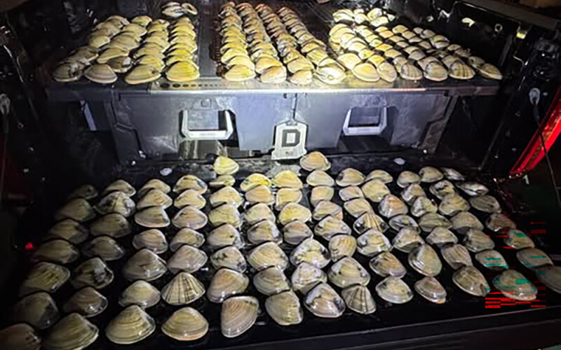 seized Pismo clams