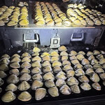 seized Pismo clams
