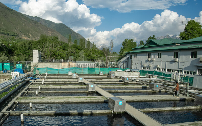Khyber Aquaculture's facility in India