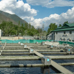 Khyber Aquaculture's facility in India