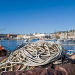 A French fishing harbor
