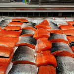 cut salmon on display for sale in Norway