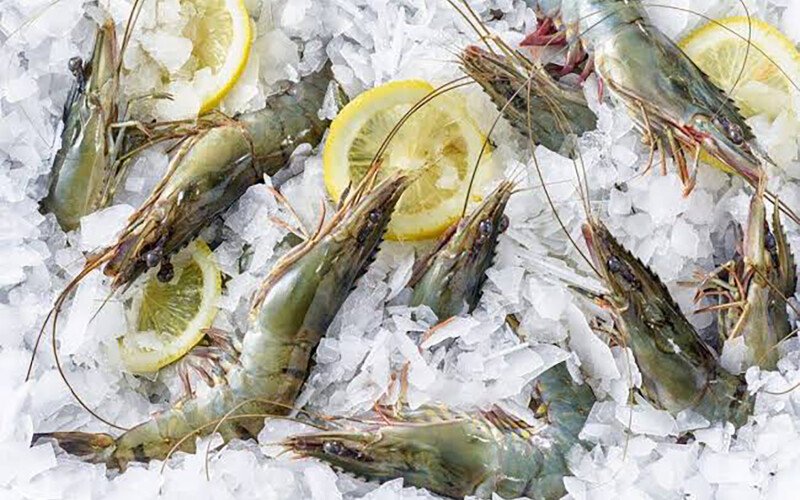 Shrimp on ice