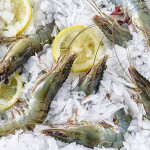 Shrimp on ice