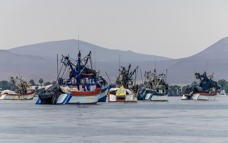Fishing vessels in Paracas, Peru