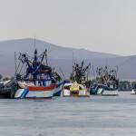 Fishing vessels in Paracas, Peru