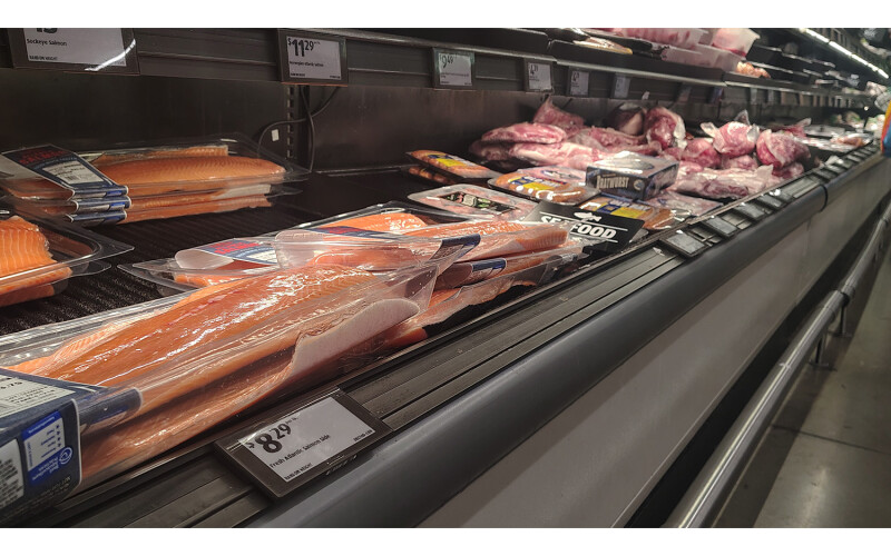 salmon for sale