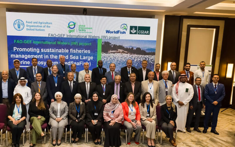 Representatives meeting in Cairo to discuss the project