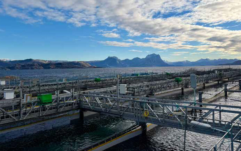 Gigante Salmon's facility in Norway