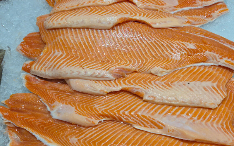 A pile of Atlantic salmon fillets on ice