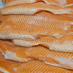 A pile of Atlantic salmon fillets on ice