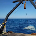 researchers sampling the Gulf of Mexico