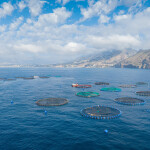 A Spanish aquaculture operation