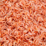 A pile of krill