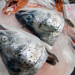salmon heads and bodies for sale