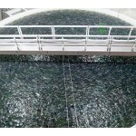 An aquaculture pen in a recirculating aquaculture faciltiy
