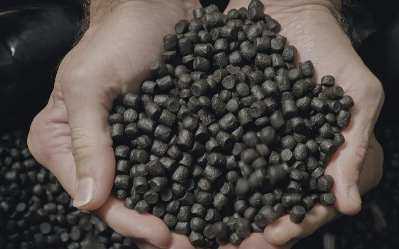 Innovafeed and NaturAlleva are using black soldier flies to create insect-based aquafeed