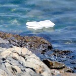 Plastic foodware floating in ocean