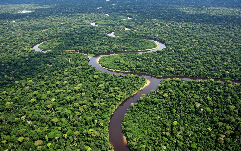 Global researchers found that relying on terrestrial sources of feed is not the best path to sustainability