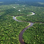 Global researchers found that relying on terrestrial sources of feed is not the best path to sustainability