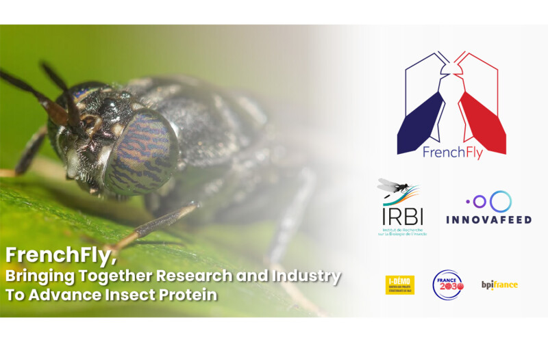 Innovafeed and the Institute for Research on Insect Biology announced a partnership to create insect feed in aquaculture
