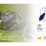Innovafeed and the Institute for Research on Insect Biology announced a partnership to create insect feed in aquaculture