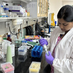 A scientist at Loopworm utilizing silkworms to produce insect-based aquaculture feed
