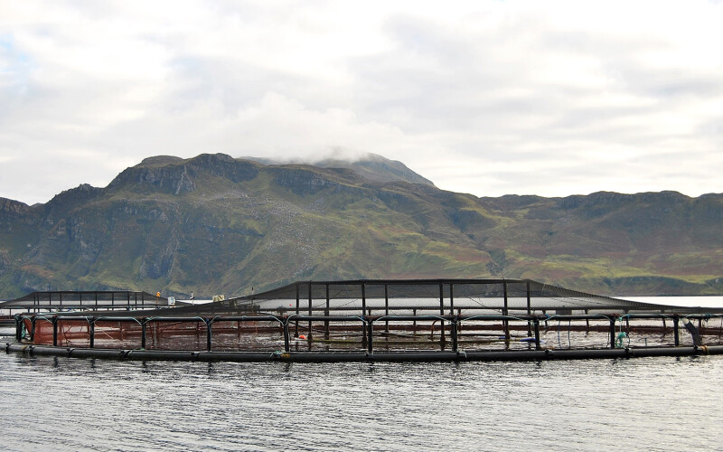 Scottish fish farm