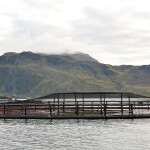 Scottish fish farm