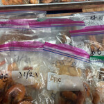 Samples collected by SeaD Consulting