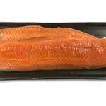 Salmon fillet