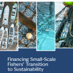 Seafood2030 Financing Small-Scale Fisheries