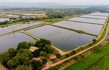 Colombia’s sustainable, fresh aquaculture production