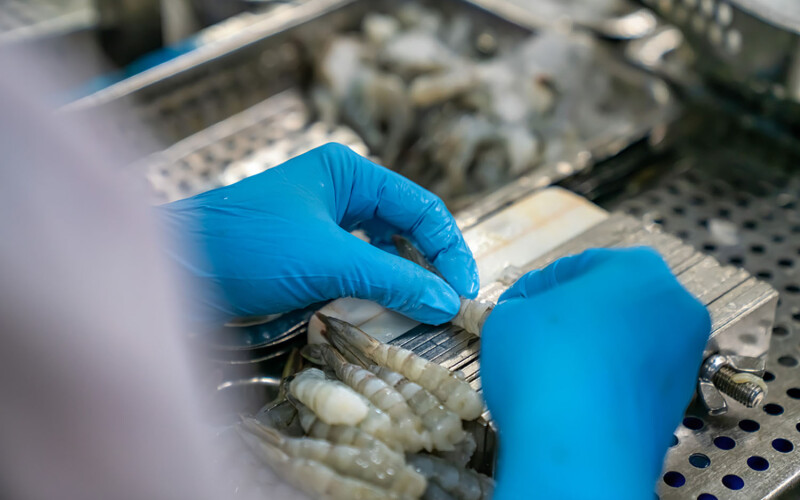 A Vietnam shrimp-processing factory