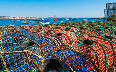 Portugal fishing