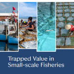 Seafood2030 Issue Brief: Trapped Value in Small-scale Fisheries