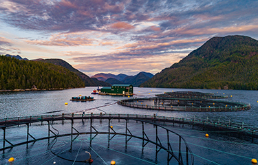 A Grieg Seafood salmon farm.