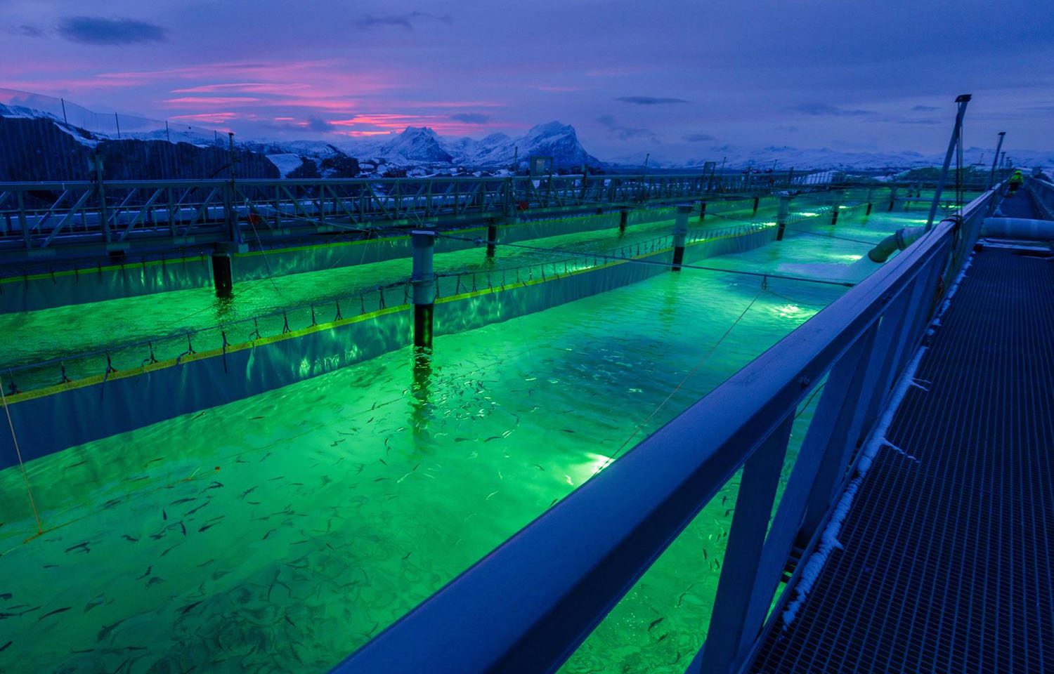 A Gigante Salmon flow-through salmon tank.s.