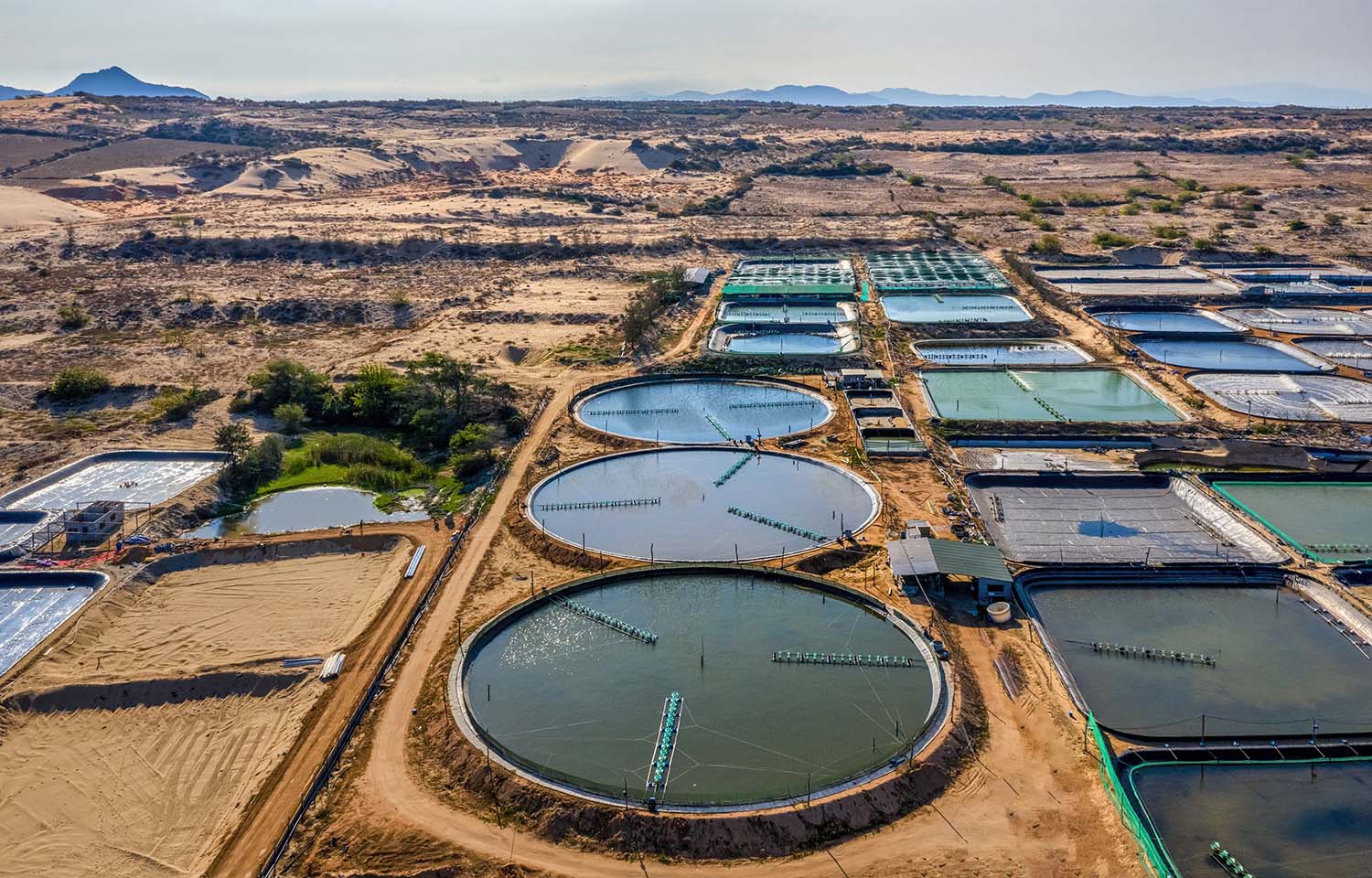 A shrimp farm in Vietnam