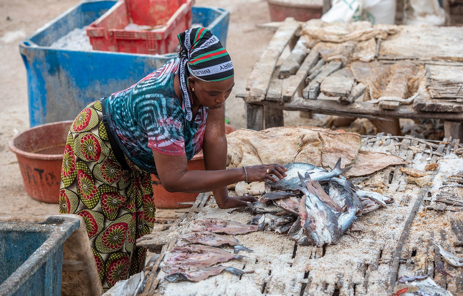 A woman sorting fish