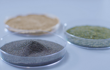 Petri dishes featuring seaweed processed by OCEANIUM